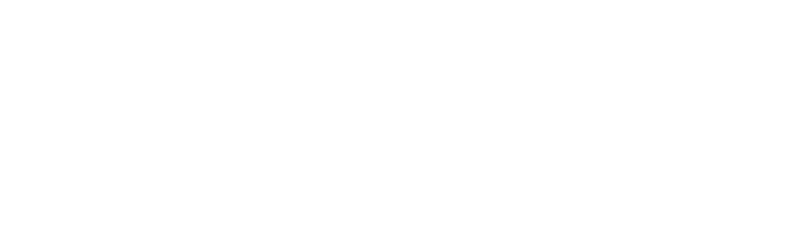 Vizioni Education